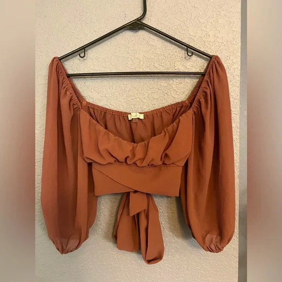 Blush BJ | Medium | Tie-Back/ Open Back | Crop Top | Bell Sleeves - Picture 1 of 10